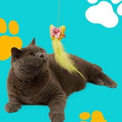 Collection image for: Toys & Playtime