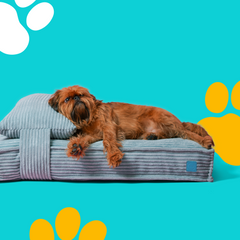 Collection image for: Beds & Furniture