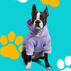 Collection image for: Clothing & Apparel