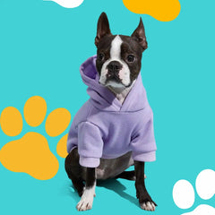 Clothing & Apparel - Strenzia.com