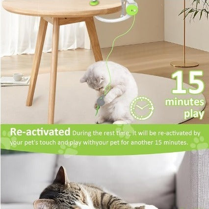 Colorful Beating Mouse – Electric Interactive Cat Toy & Hanging Door Holder