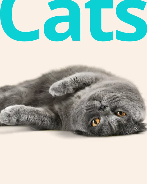 Banner image for: <h5>For</h5><h2>Cats</h2>