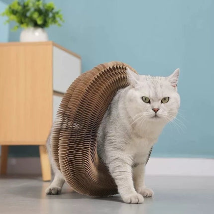 Folding Cat Scratcher - Fun & Interactive Foldable Cat Toy - Strenzia.com