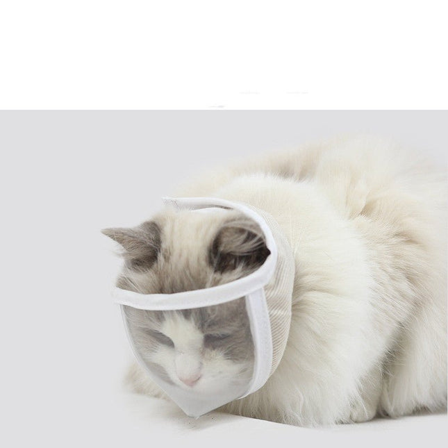 Transparent Cat Eye Mask – Anti - Bite, Anti - Peek, Anti - Call Protective Cleaning Mask - Strenzia.com